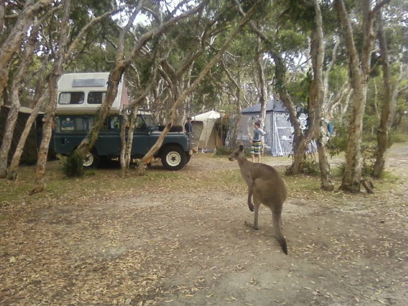 Australian Land Rover Dormobile